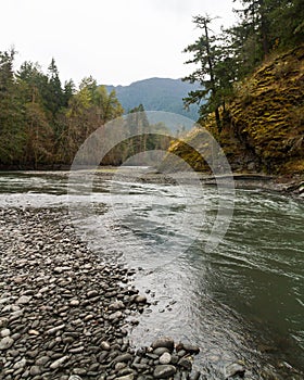 Low Angle View of Serene Path with stream photo