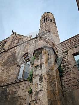 Low angle view on the side facade of Cathedral of Barcelona