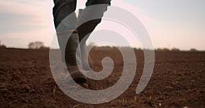 Low angle view Slow motion. Follow to male farmers feet in boots walking through the small green sprouts of sunflower on