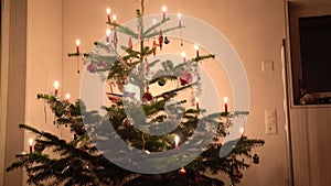 Low angle view of small Christmas tree with candlelights mirrored in window.