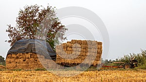 Low angle view: Stacks of straw bales tied with rope stacked