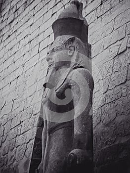 Low angle view of the statue of Ramesses II in Egypt