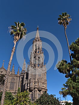 Low angle view of the steeple of Church of San Juan Bautista in the old center of town Arucas, Gran Canaria, Spain with palms.