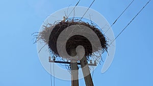 Low angle view of stork`s nest on utility pole near the forest. Clear blue sky at background.