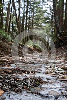 Low Angle View of Trail with Ice