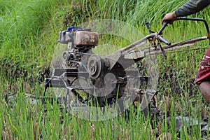 Low Angle View Two Wheel Hand Tractor Is Being Used To Plow Rice Field