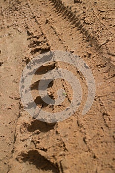 Low angle view vertical CU muddy jungle road with knobbed tire tracks heading straight