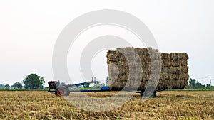 Low-angle view of a walk-behind tractor carrying piles of straw bales