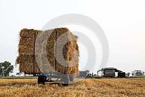 Low-angle view of a walk-behind tractor carrying piles of straw bales