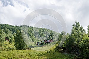 low angle view of wooden house and green plants in mountains Aurlandsfjord Flam