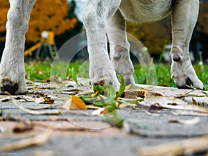 Low angle view of the world