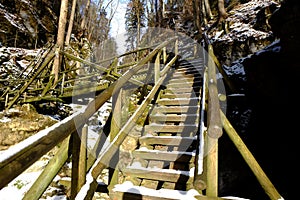 Low angle of a wooden staircase in the woods during winter