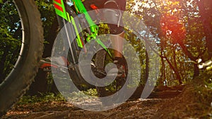 LOW ANGLE: Young male mountain biker rides his bicycle down a sunlit dirt road.