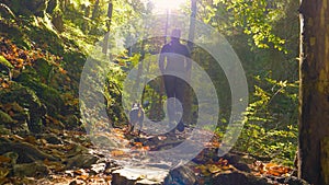 LOW ANGLE: Young woman and her little dog trek down a beautiful forest trail.