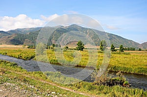 Low bushes on the bank of a small straight river flowing through a valley surrounded by high mountains on a sunny summer day