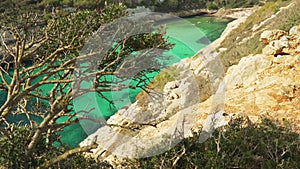 Low bushes or trees growing on rocky cliff, blurred Cala Antena beach with people swimming in calm green sea background - typical