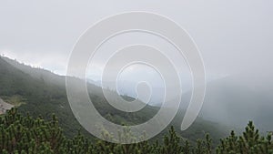Low Clouds and Fog Slide Down the Mountain Slope in Strong Winds. Carpathians