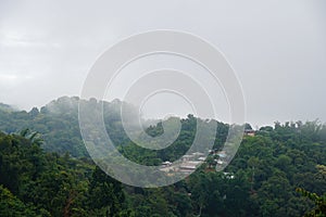 Low clouds lie on the green hills and tea plantation