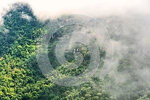 Low clouds over the forest mountain