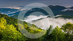 Low clouds in a valley, seen from Newfound Gap Road in Great Smoky Mountains National Park, North Carolina.