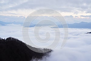 Low clouds, view of winter forest and mountains from observation deck, horizontal picture of amazing natural phenomenon. Beautiful