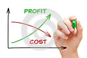 Low Cost High Profit Business Graph Concept