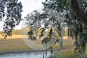 The Low Country region of America is rich with beauty and history