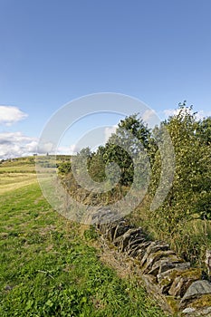 A low dry Stone wall on the edge of the Murton Lochs Nature Reserve