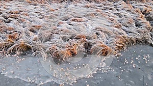 Low flight along the coast of a frozen reservoir with frosty grass.