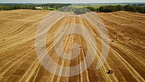 Low flight over cultivated fields with haystacks after harvesting. Aerial motion view