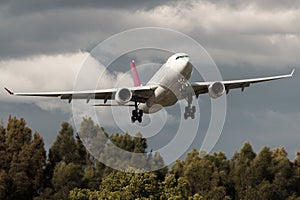 Low flying commercial airliner over trees