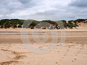 Low grassy sand dunes at the edge of a flat sandy beach with footprints in summer sunlight with blue sky and clouds