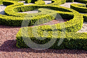 Low hedges of box tree pruned in geometric shapes in a french formal garden