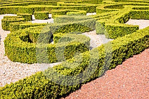 Low hedges of box tree pruned in geometric shapes in a french formal garden photo