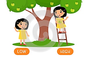 Low and hight antonyms word card vector template. Flashcard for english language learning. Opposites concept. Asian little girl