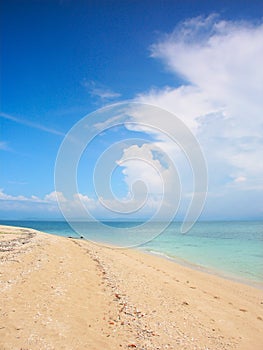 The Low Isles - Queensland Australia