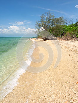 Low Isles - Queensland Australia