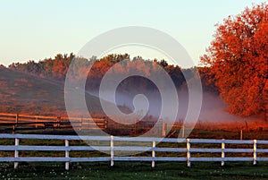 Low lying fog in Manitoba autumn, in south central prairie