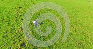 Low orbital flight around man on green grass with notebook pad at yellow rural field.