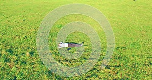 Low orbital flight around man on green grass with notebook pad at yellow rural field.