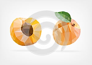 Low Poly Apricot fruit