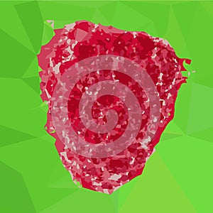 Low poly art raspberry. Berry drawn by polygons. Vector illustration
