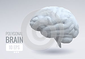 Low poly brain illustration on white template color tone