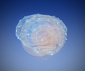 Low poly brain model with wireframe isolated on dark blue background