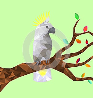 Low poly colorful Cockatoo bird with tree on back ground, birds on the branches ,animal geometric concept,vector