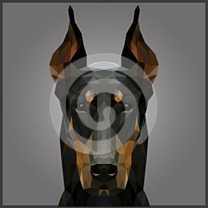 Low poly Doberman