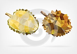 Low Poly Durian fruit