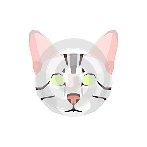 Low poly Egyptian Mau head