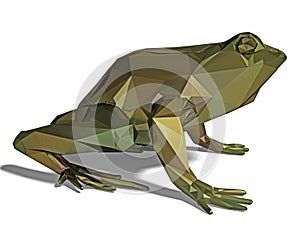 Low poly frog isolated