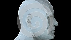 Low poly head, art objects, simple style in the space, 3d rendering computer generated backdrop
